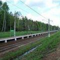 жаворонки
