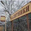 калитники
