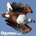 крикун