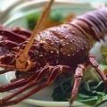 лангуст