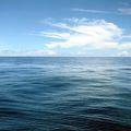море