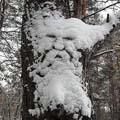 невидаль