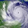 тайфун