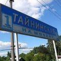 тайнинская