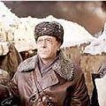 веснин