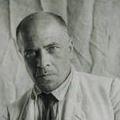 веснин